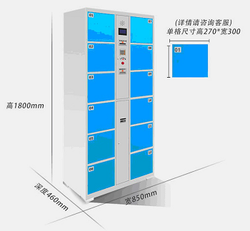 12門(mén)電子寄存柜